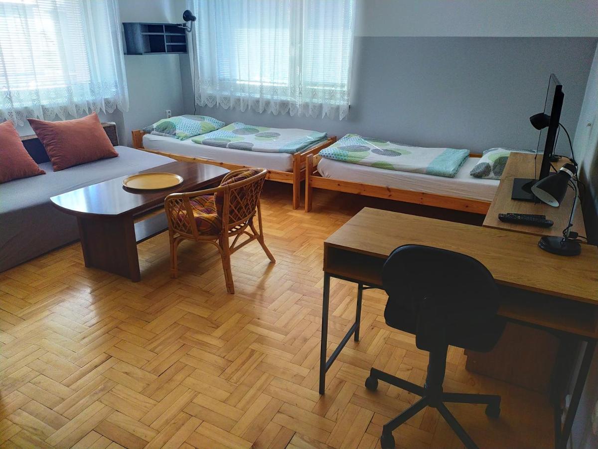 Ubytovani Velky Tynec 376 部屋 写真